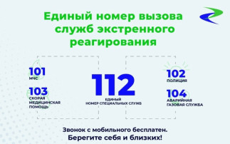 Безопасный Новый год Безопасный Новый год .